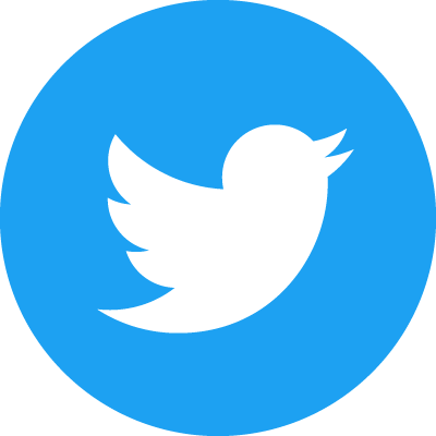 Twitter logo color